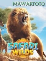 Safari Wilds